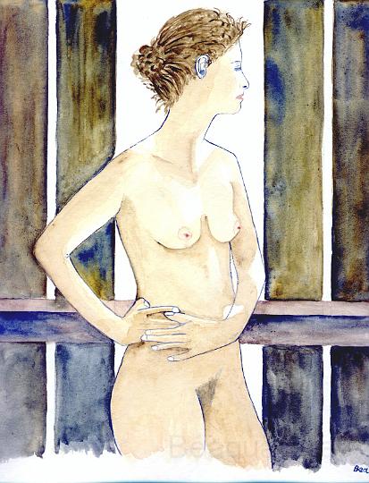 nue devt barriere.JPG -  travers